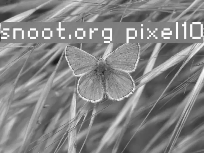 snoot.org pixel10 Fuentes examples