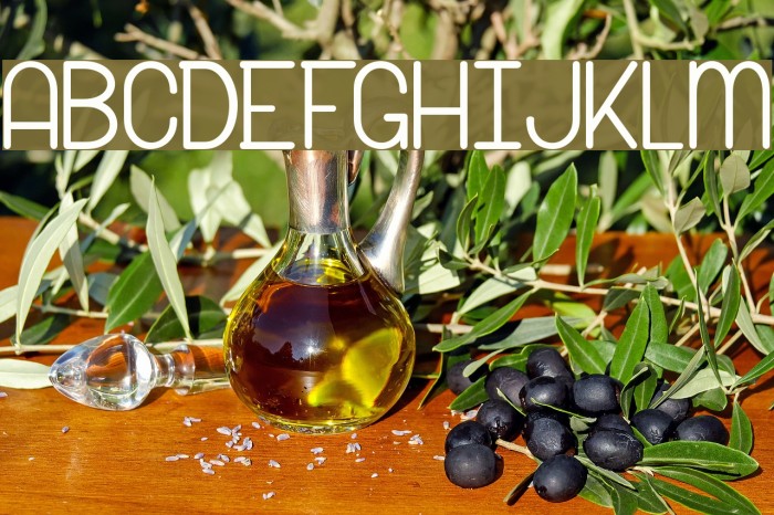 snow riders xs Example 2