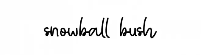 snowball bush  baixar fontes gratis