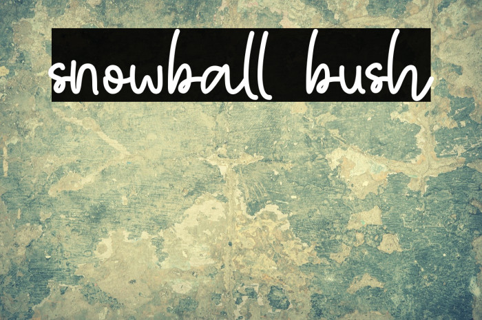 snowball bush Example 1