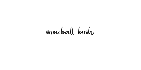 snowball bush Logo