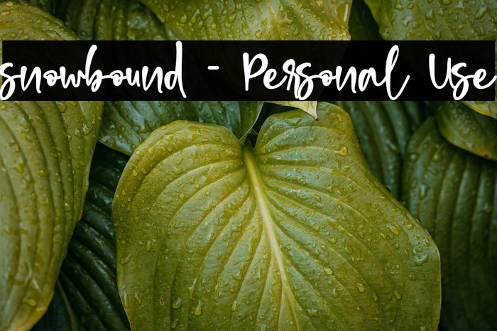 snowbound - Personal Use Example 2