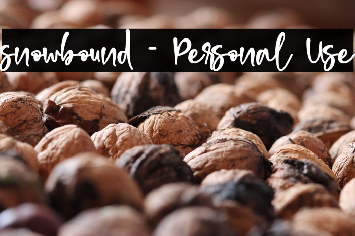 snowbound - Personal Use Example 3
