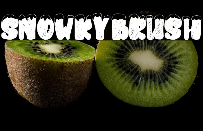 snowkybrush Example 1
