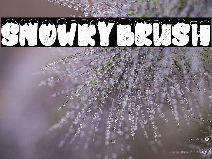 snowkybrush Example 3