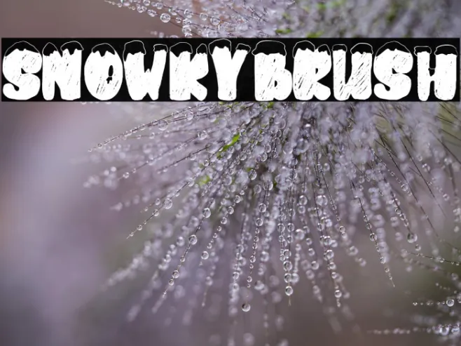 snowkybrush Example 3