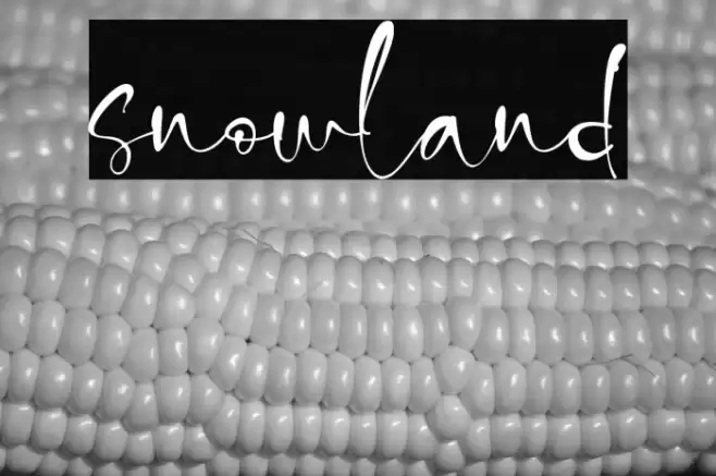 snowland Font examples