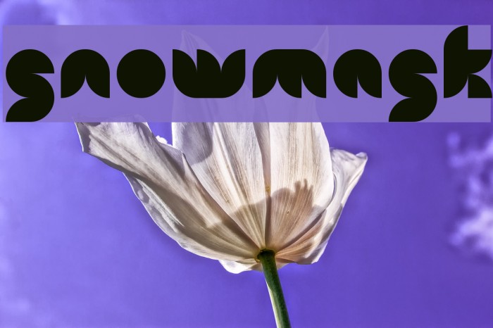 snowmask Font examples