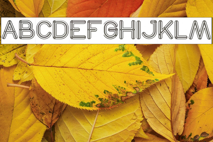 SO THIS IS IT-Hollow-Inverse Example 1