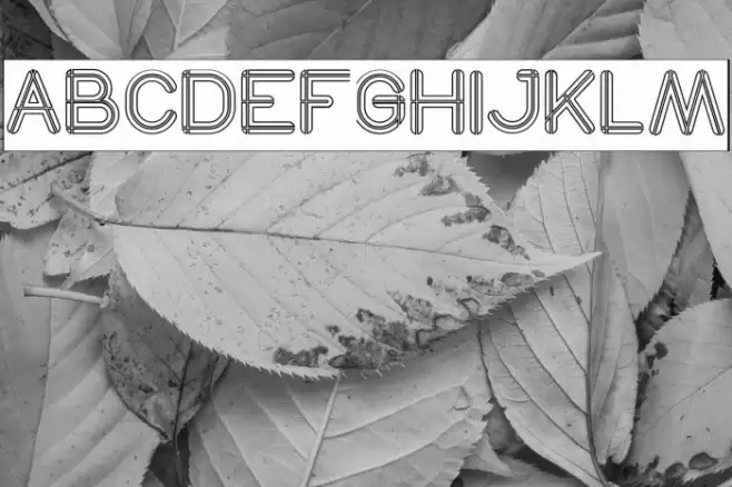 SO THIS IS IT-Hollow-Inverse Font examples