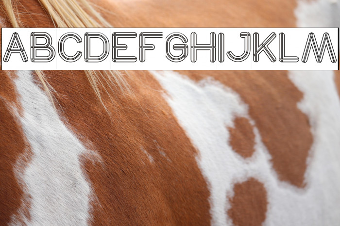 SO THIS IS IT-Hollow-Inverse Example 3