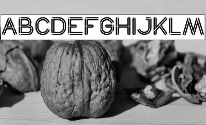 SO THIS IS IT-Inverse Font examples