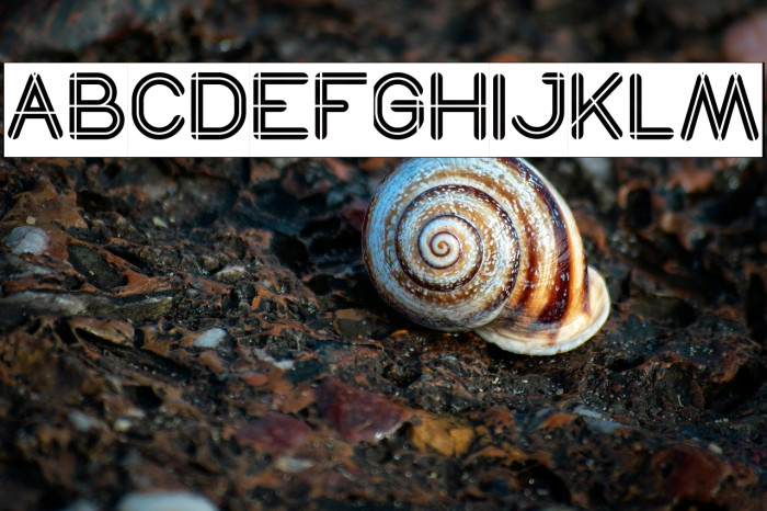 SO THIS IS IT-Inverse Example 2