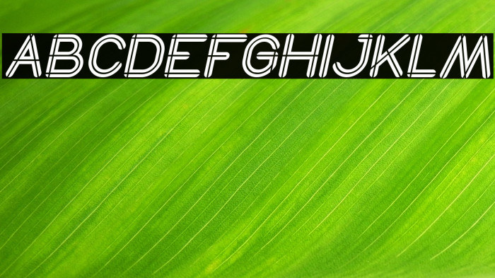 SO THIS IS IT Italic Example 2