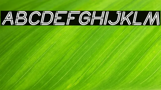 SO THIS IS IT Italic Example 2