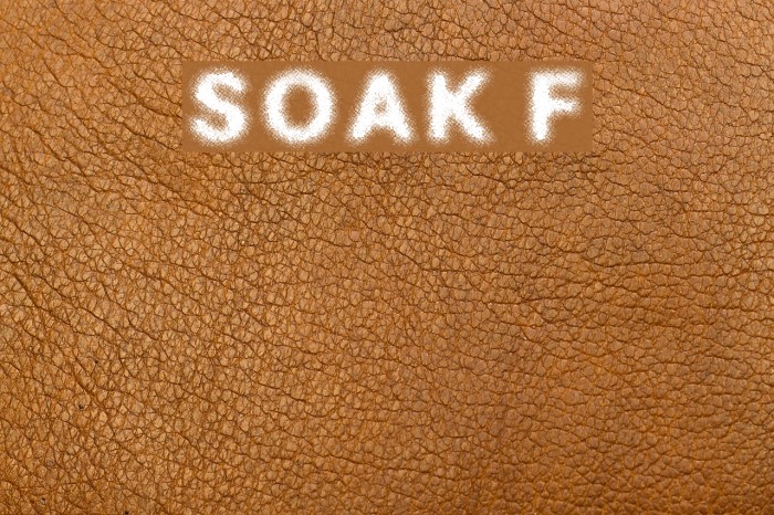 SOAK Font examples
