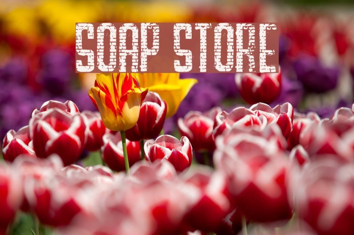 SOAP STORE Font examples