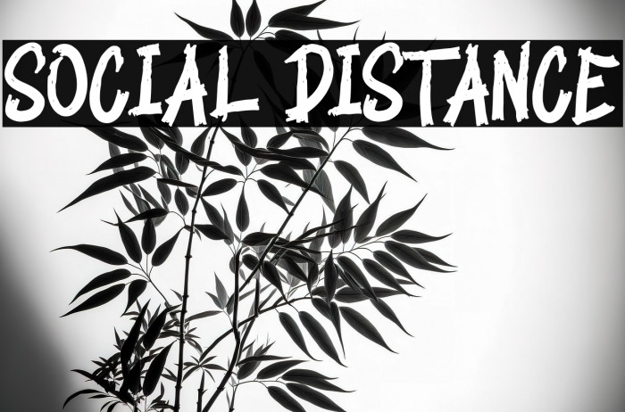 SOCIAL DISTANCE Example 2