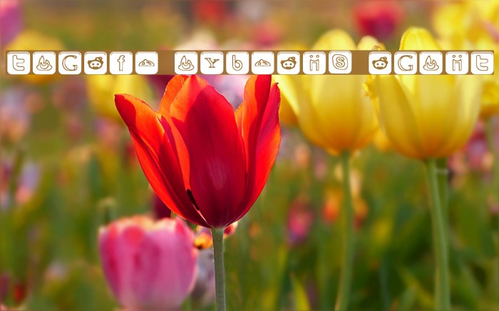 SOCIAL OUTLINE ICONS Font examples