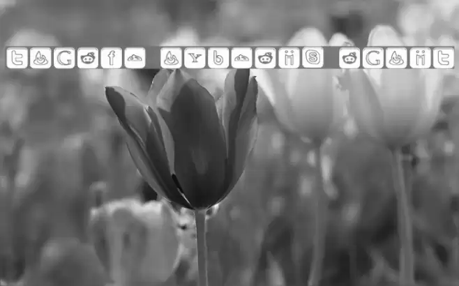 SOCIAL OUTLINE ICONS Font examples