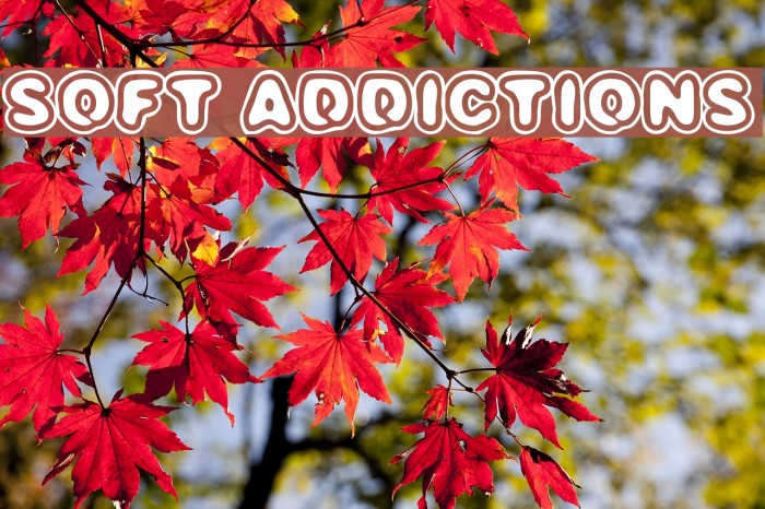 SOFT ADDICTIONS Font examples