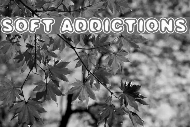 SOFT ADDICTIONS Font examples