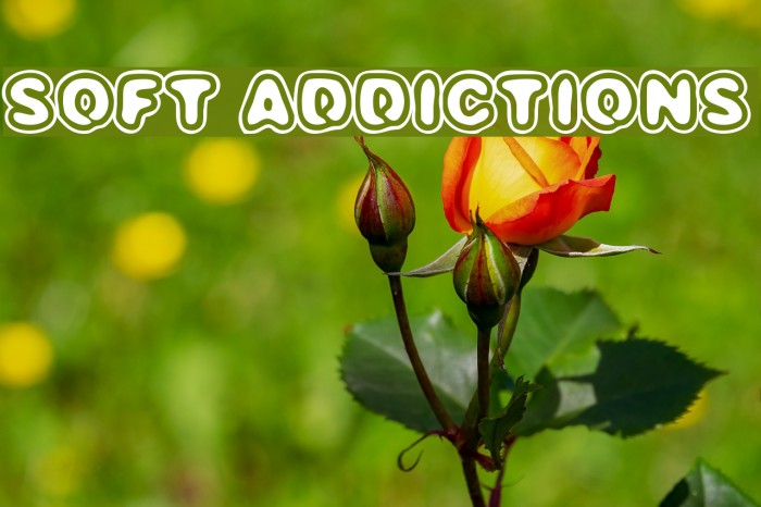 SOFT ADDICTIONS Font examples