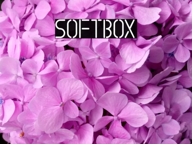 SOFTBOX Example 1
