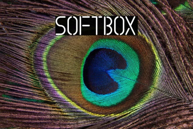 SOFTBOX Example 3