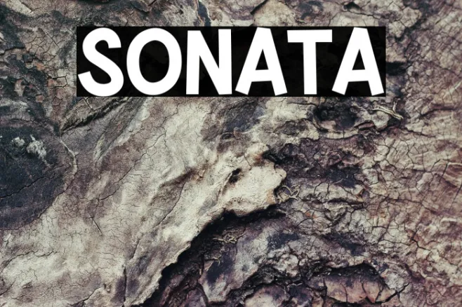 SONATA Example 1