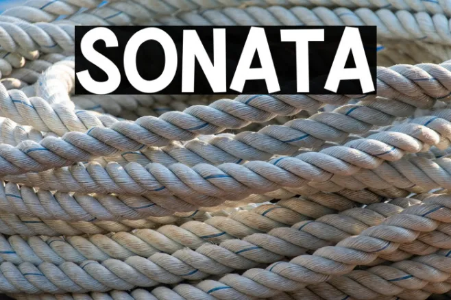 SONATA Example 2
