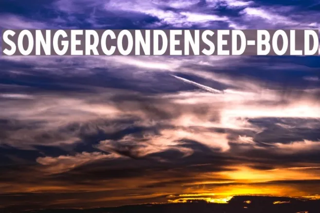 SONGERCondensed-Bold Example 2