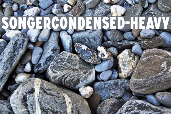 SONGERCondensed-Heavy Font examples