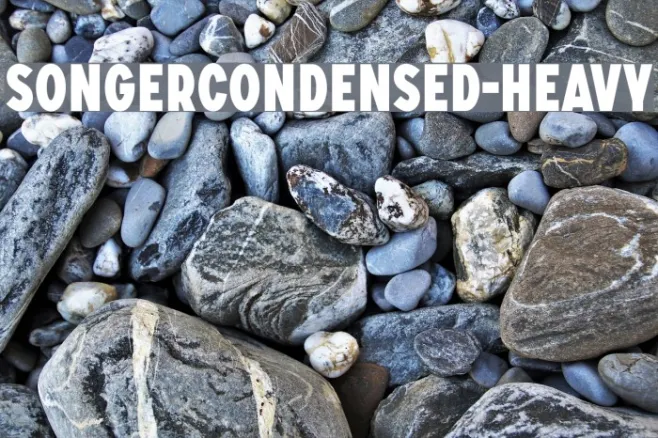 SONGERCondensed-Heavy Example 1