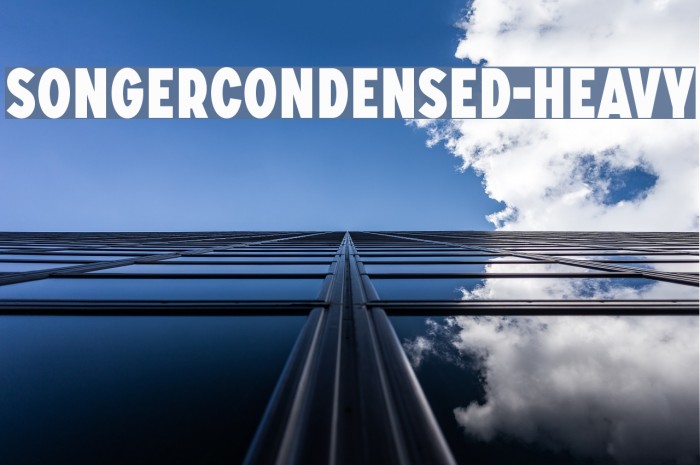 SONGERCondensed-Heavy Font examples