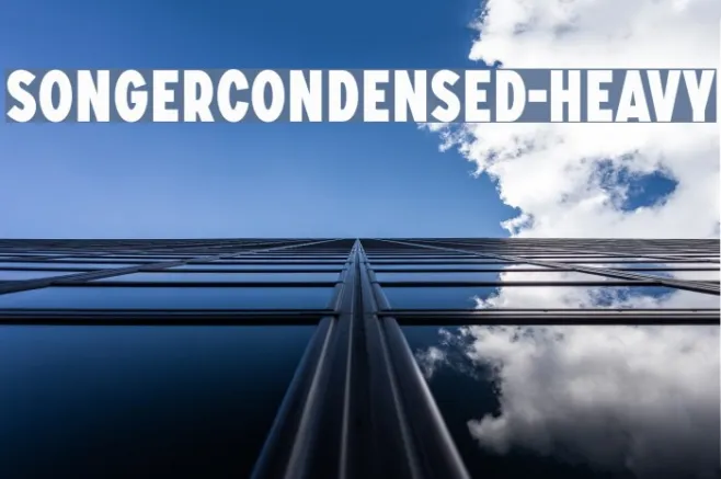 SONGERCondensed-Heavy Example 3