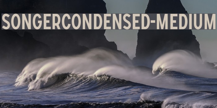 SONGERCondensed-Medium Font examples