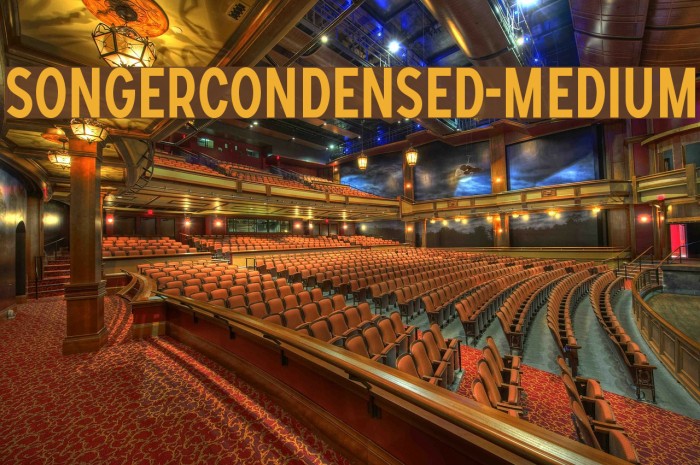 SONGERCondensed-Medium Font examples