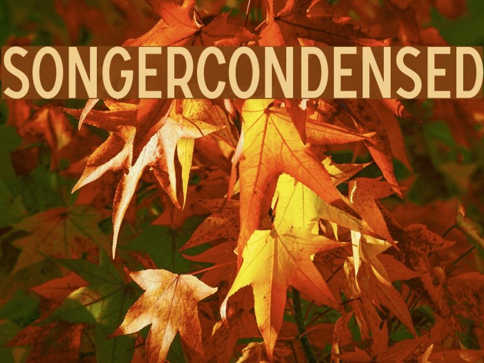 SONGERCondensed Font examples