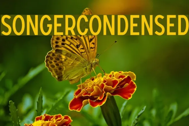 SONGERCondensed Example 2