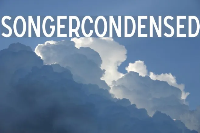 SONGERCondensed Example 3