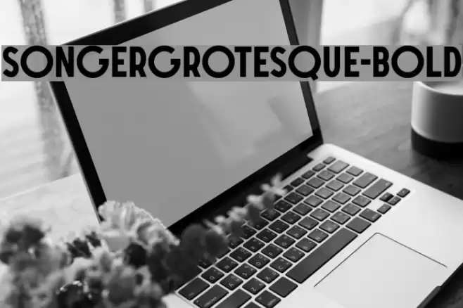 SONGERGrotesque-Bold Font examples