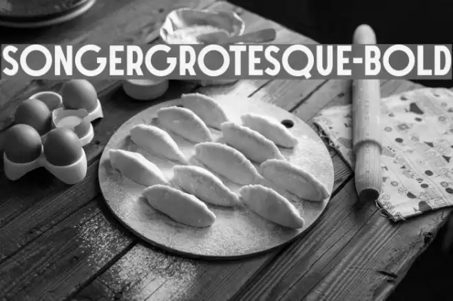 SONGERGrotesque-Bold Font examples
