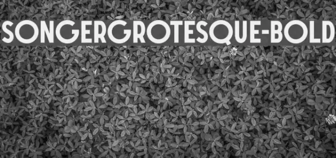SONGERGrotesque-Bold Font examples