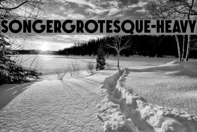 SONGERGrotesque-Heavy Font examples