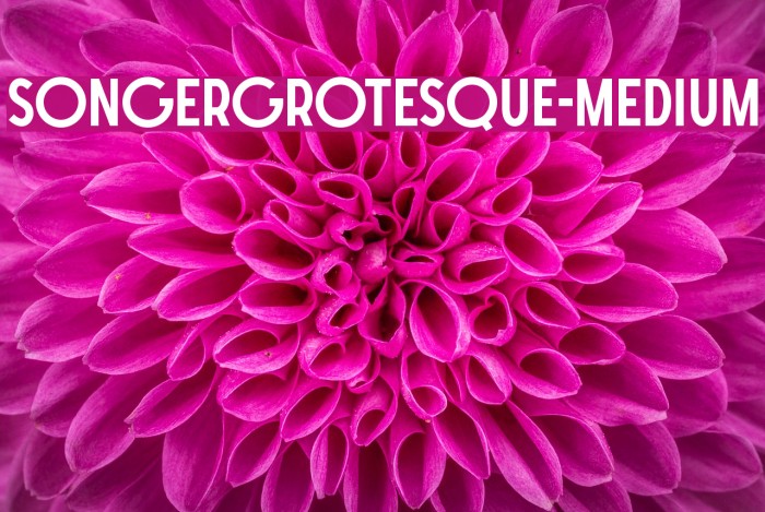 SONGERGrotesque-Medium Font examples