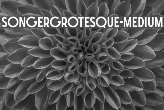 SONGERGrotesque-Medium Font examples