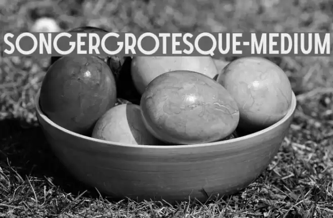 SONGERGrotesque-Medium Font examples