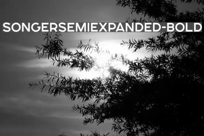SONGERSemiExpanded-Bold Font examples