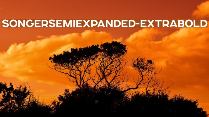 SONGERSemiExpanded-ExtraBold Font examples